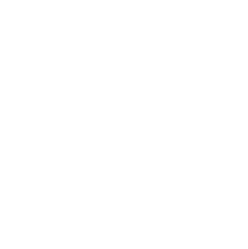 BriXion