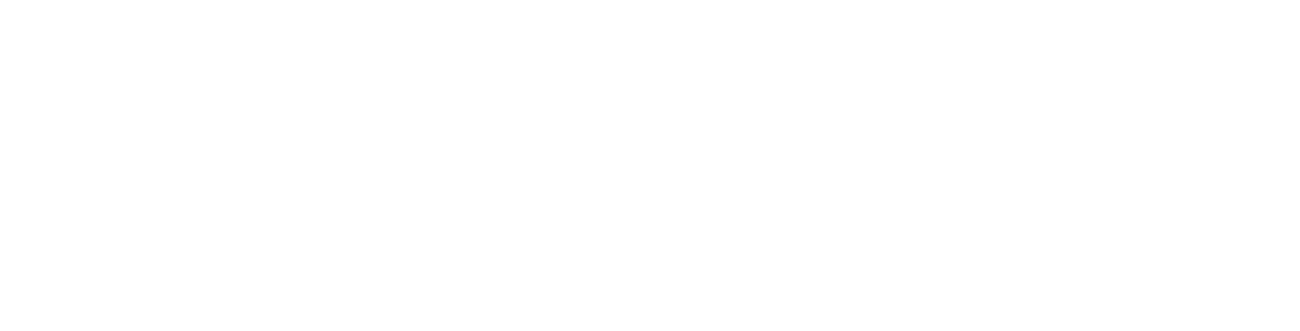 BriXion